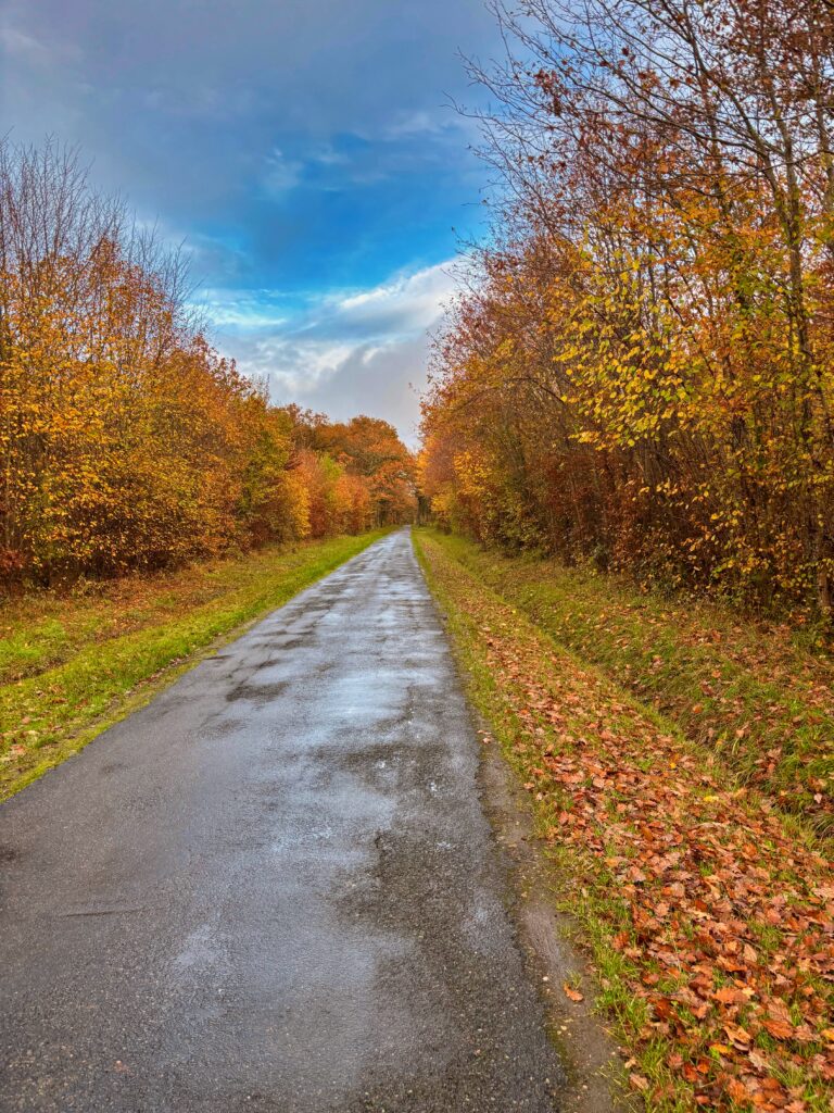 Liste ensemble pour meillant 2026 elections municipales 15 22 mars richard beguin (40)